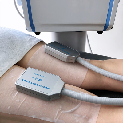 Salón de belleza de la máquina CRYO de Cryolipolysis el ccsme Euqipment para la pérdida de Weilght con 4 manijas