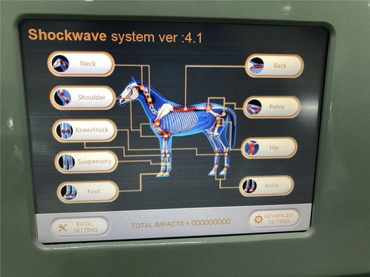Máquina equina extracorporal radial de la fisioterapia de la onda de choque