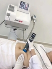 Máquina gorda portátil de la máquina de congelación de Cryolipolysis + de la terapia de la onda de choque que adelgaza el cuerpo China