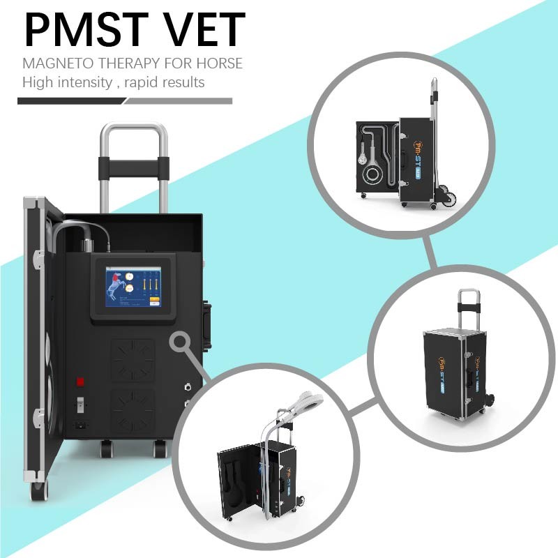 Máquina de terapia de ondas de choque EMTT Dispositivo veterinario de 4 Tesla para estimulación muscular de caballos