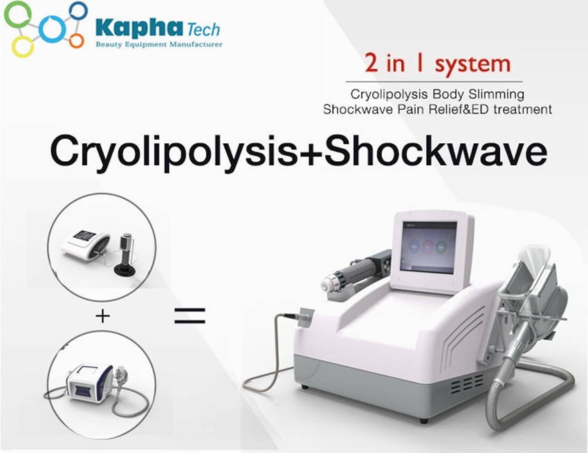 Máquina de congelación gorda fresca de Cryolipolysis de la onda de choque portátil del ED