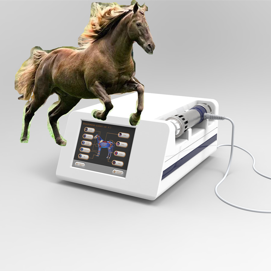 Máquina equina extracorporal radial de la fisioterapia de la onda de choque