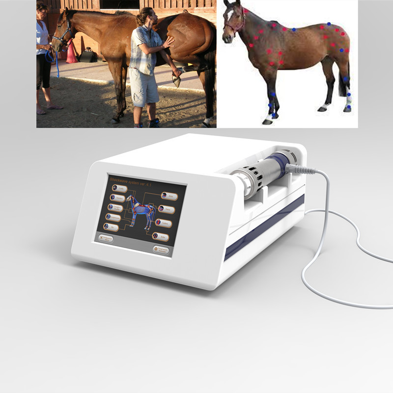 Máquina veterinaria de la terapia de la onda de choque para el caballo que compite con